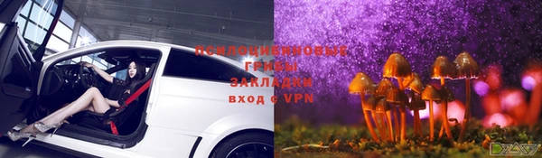 трава Каменка