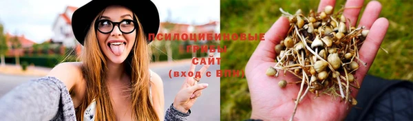 кокаин перу Каменногорск