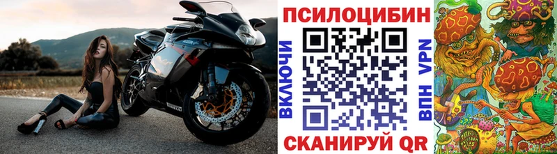 Купить где  Ивангород  Псилоцибиновые грибы MAGIC MUSHROOMS 